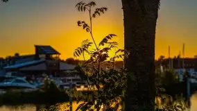 Wschód słońca w Giżycku, jezioro Niegocin - zdjęcie 33