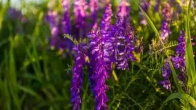 Zachód słońca Pierkunowski Róg - zdjęcie 4