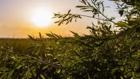 Zachód słońca Pierkunowski Róg - zdjęcie 7