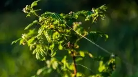 Zachód słońca Pierkunowski Róg - zdjęcie 26