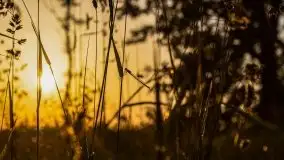 Zachód słońca Pierkunowski Róg - zdjęcie 10