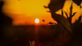 Zachód słońca Pierkunowski Róg - zdjęcie 17