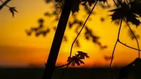 Zachód słońca Pierkunowski Róg - zdjęcie 23