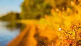 Zachód słońca nad jeziorem Gołdopiwo - zdjęcie 16