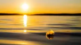 Zachód słońca nad jeziorem Gołdopiwo - zdjęcie 13