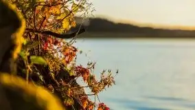 Zachód słońca nad jeziorem Gołdopiwo - zdjęcie 36