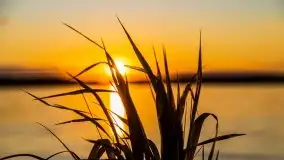 Zachód słońca nad jeziorem Gołdopiwo - zdjęcie 6