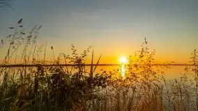 Niegocin migoczący w zachodzącym słońcu - zdjęcie 16