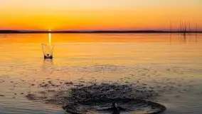 Niegocin migoczący w zachodzącym słońcu - zdjęcie 35