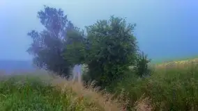 Mazurski poranek we mgle - zdjęcie 15