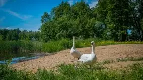 Czerwcowe Mazury na zdjęciach Stanisława Sielewicza - zdjęcie 3