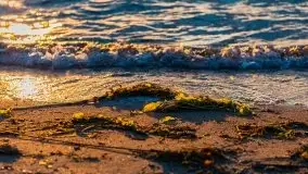 Zachód Słońca, Pierkunowo, jezioro Kisajno, lipiec 2020 - zdjęcie 34