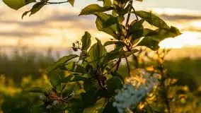 Zachód słońca, plaża Bogacko, jezioro Dejguny - zdjęcie 21