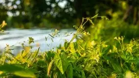 Zachód słońca, plaża Bogacko, jezioro Dejguny - zdjęcie 33