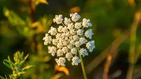 Zachód Słońca nad kanałem Jeglińskim - zdjęcie 7