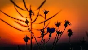 Miłośnicy Mazur - fotografie Stanisława Sielewicza - zdjęcie 3