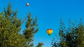 Balony nad Ełkiem 2020 - zdjęcie 11