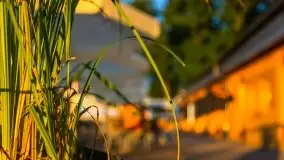 Wschód słońca w Stanicy Wodnej Stranda - zdjęcie 14