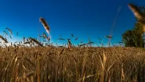 Zachody słońca na Mazurach, lipiec 2020 - zdjęcie 33