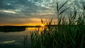 Lipcowe Mazury według Staszka Sielewicza - zdjęcie 24