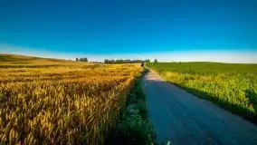 Lipcowe Mazury według Staszka Sielewicza - zdjęcie 32