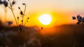 Zachód słońca w Wilkaskach - zdjęcie 13