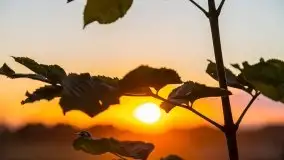 Zachód słońca w Wilkaskach - zdjęcie 5