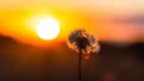 Zachód słońca w Wilkaskach - zdjęcie 23