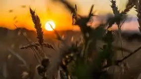 Zachód słońca w Wilkaskach - zdjęcie 22