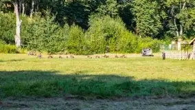 Operacja Boyen, sierpień 2020 - zdjęcie 77