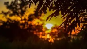 Zachód słońca nad jeziorami Dargin i Skarż Wielki - zdjęcie 31