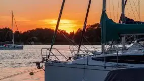 Zachód słońca w Tle Dla Mew, sierpień 2020 r. - zdjęcie 7