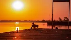 Wschód Słońca, Wilkasy, jezioro Niegocin, sierpień 2020 r. - zdjęcie 17