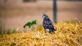 Piękno letnich, sierpniowych Mazur - zdjęcie 12