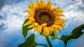 Piękno letnich, sierpniowych Mazur - zdjęcie 11