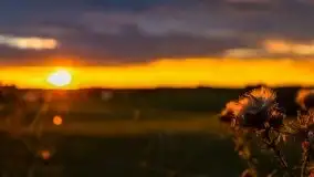 Zachód Słońca przy miejscowości Sterławki, sierpień 2020 r. - zdjęcie 27