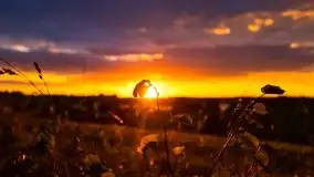 Zachód Słońca przy miejscowości Sterławki, sierpień 2020 r. - zdjęcie 34