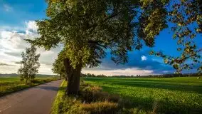 Zachód słońca nad jeziorem Ławki, wrzesień 2020 r. - zdjęcie 14