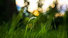 Zachód słońca nad jeziorem Ławki, wrzesień 2020 r. - zdjęcie 24