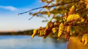 Zachód słońca nad jeziorem Dargin - zdjęcie 24