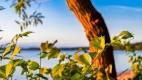 Zachód słońca nad jeziorem Dargin - zdjęcie 62