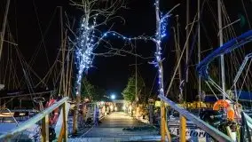 Nocne Tło Dla Mew, wrzesień 2020 r. - zdjęcie 6