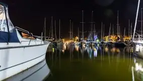 Nocne Tło Dla Mew, wrzesień 2020 r. - zdjęcie 17