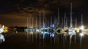 Nocne Tło Dla Mew, wrzesień 2020 r. - zdjęcie 1