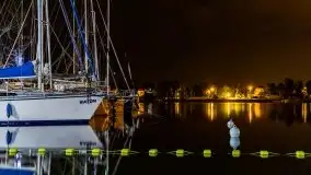 Nocne Tło Dla Mew, wrzesień 2020 r. - zdjęcie 27