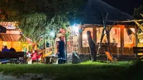 Nocne Tło Dla Mew, wrzesień 2020 r. - zdjęcie 34