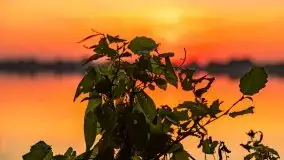 Zachód słońca nad jeziorem Tajty, wrzesień 2020 r. - zdjęcie 13