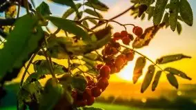 Wrześniowe Mazury na zdjęciach Staszka Sielewicza - zdjęcie 10