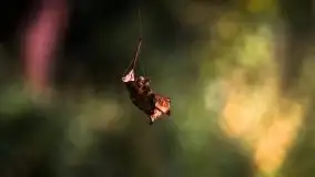 Wrześniowe Mazury na zdjęciach Staszka Sielewicza - zdjęcie 6