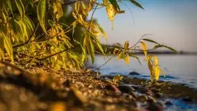 Wrześniowe Mazury na zdjęciach Staszka Sielewicza - zdjęcie 16